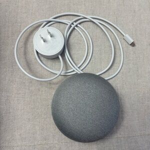 Google Home Mini 1st Gen